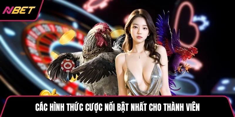 Các hình thức cược nổi bật nhất cho thành viên