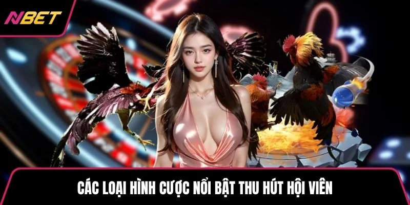 Các loại hình cược nổi bật thu hút hội viên