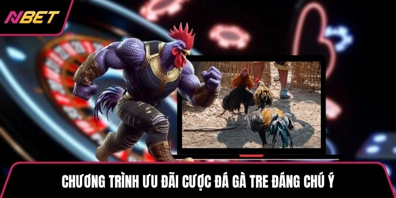 Chương trình ưu đãi cược đá gà tre đáng chú ý