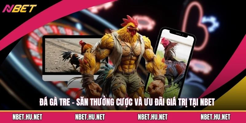 Đá Gà Tre - Săn Thưởng Cược Và Ưu Đãi Giá Trị Tại NBET