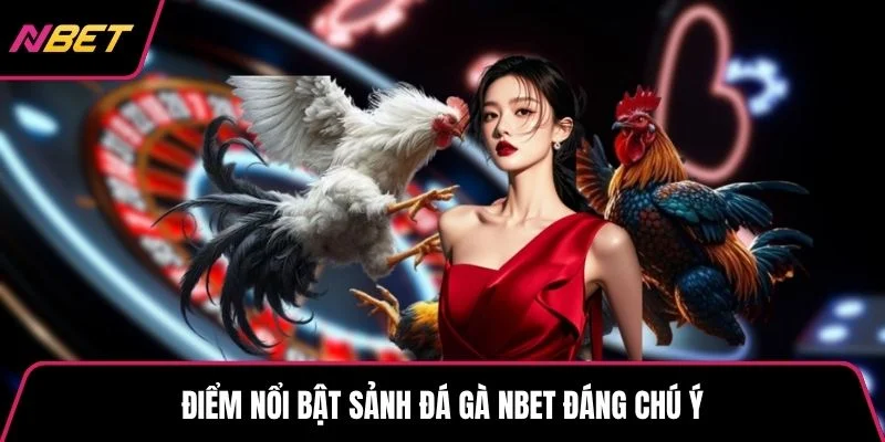Điểm nổi bật sảnh đá gà NBET đáng chú ý