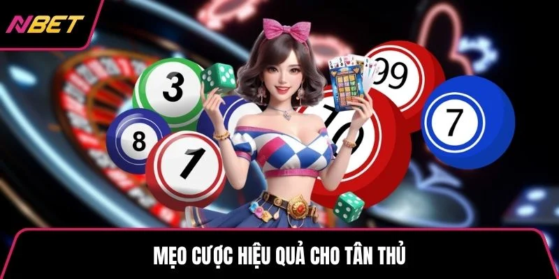 Mẹo cược hiệu quả cho tân thủ