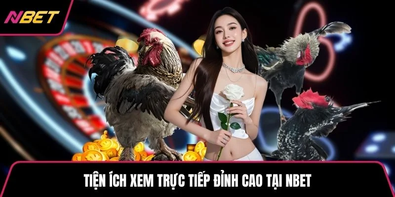Tiện ích xem trực tiếp đỉnh cao tại NBET