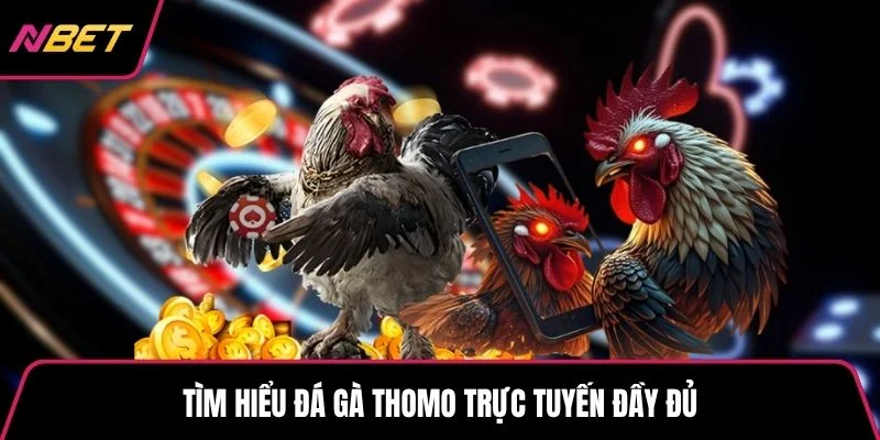 Tìm hiểu đá gà thomo trực tuyến đầy đủ